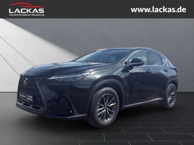 Lexus NX Executive Line