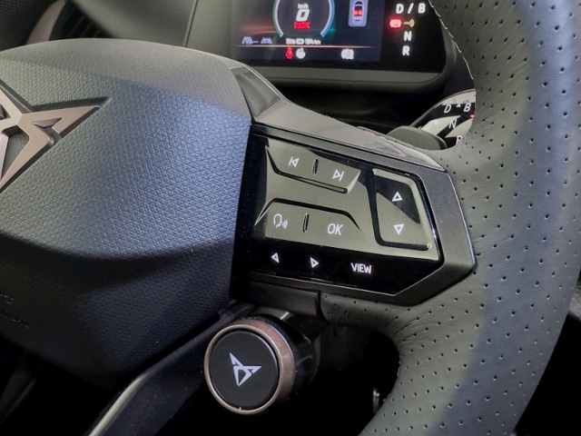 Cupra Tavascan Endurance