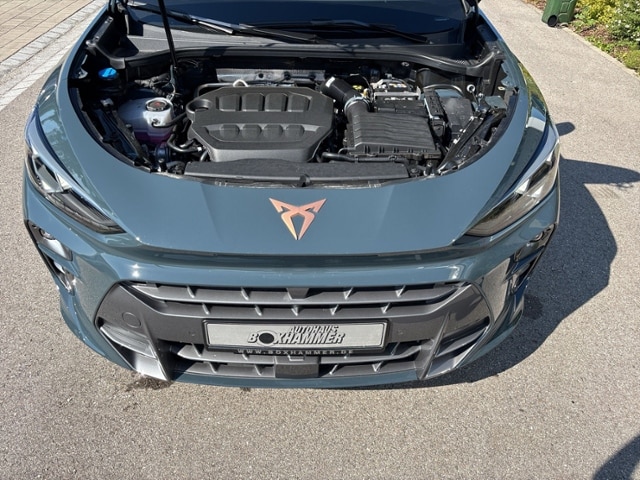 Cupra Terramar 2.0 TSI