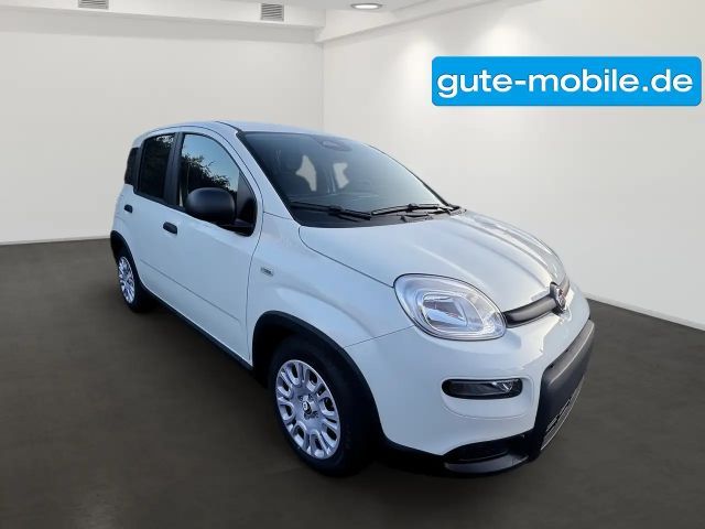Fiat Panda Pandina Hybrid MY25 70PS
