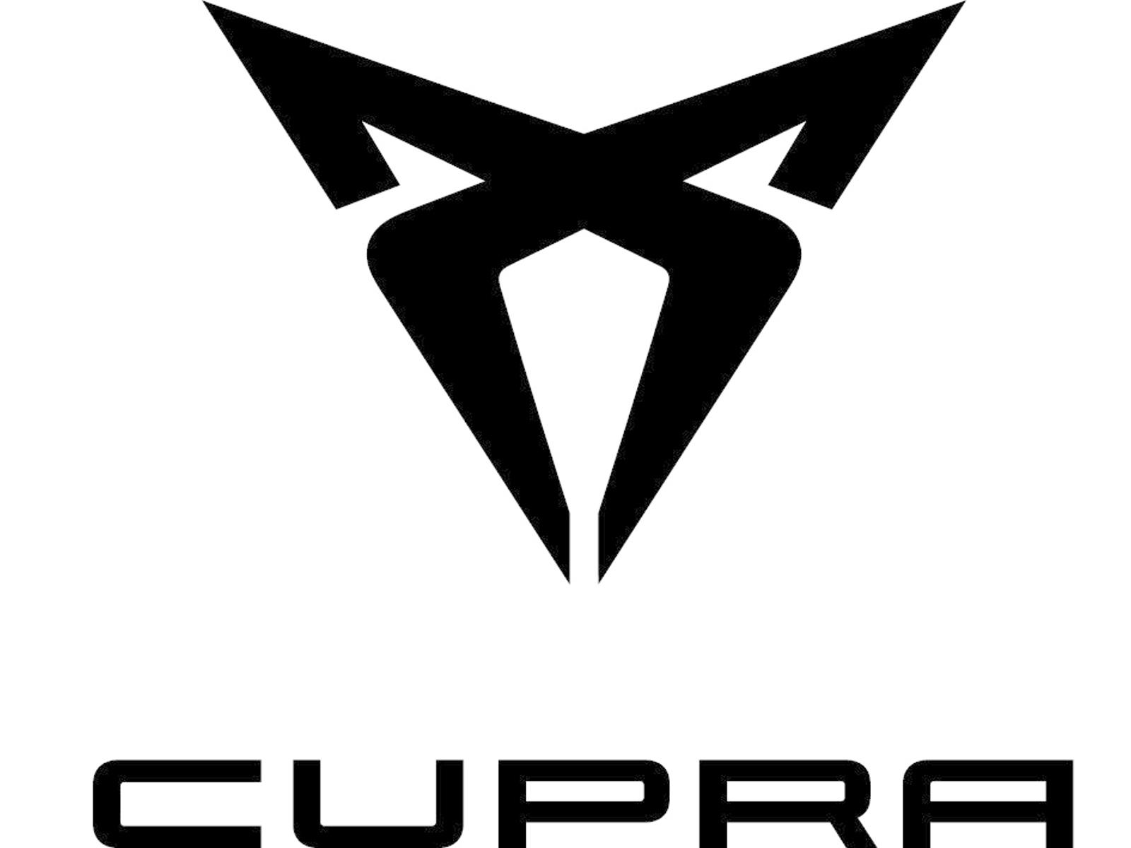 Cupra Ateca 2,0 TSI Allrad,SHZ, LED