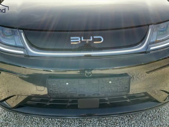 BYD Dolphin Design
