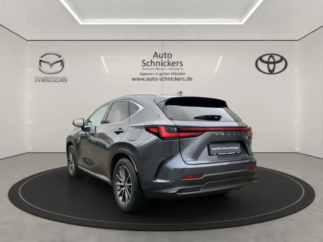 Lexus NX Executive Line