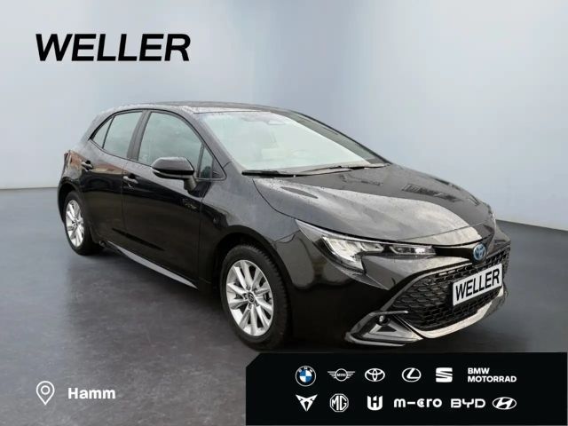 Toyota Corolla Business Hybride