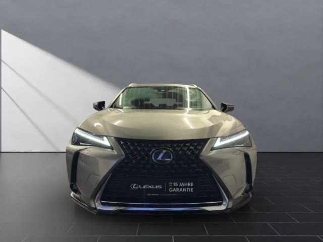 Lexus UX 250h