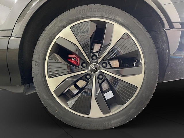 Audi Q6 e-tron Performance