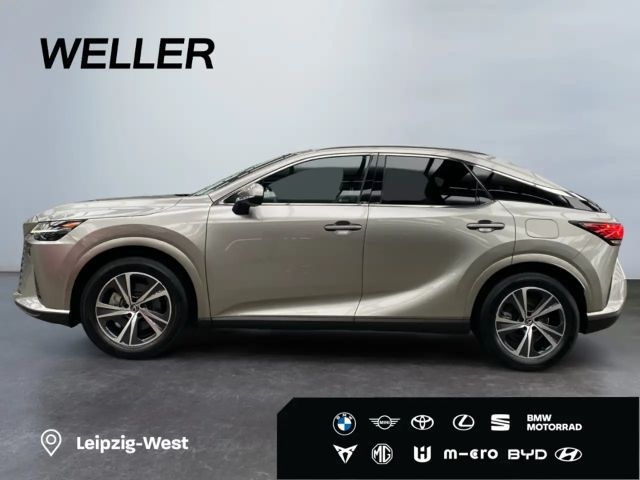Lexus RX-Serie Business Line
