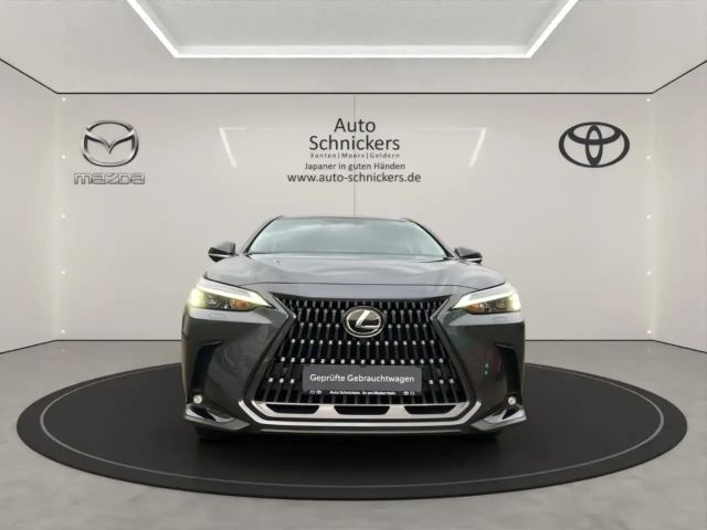 Lexus NX Executive Line
