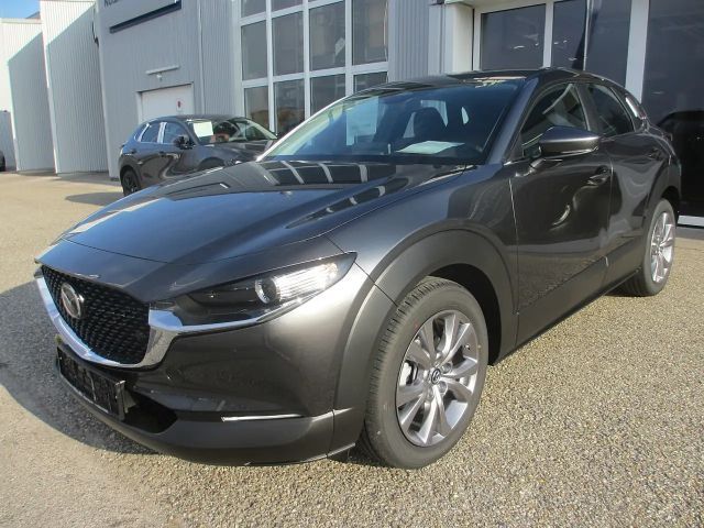 Mazda CX-30 /G140/Centre-Line Modell 2025