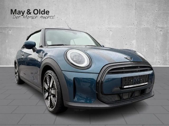 MINI Cooper Cabrio Aut. Sidewalk Edition LED Sitzhzg
