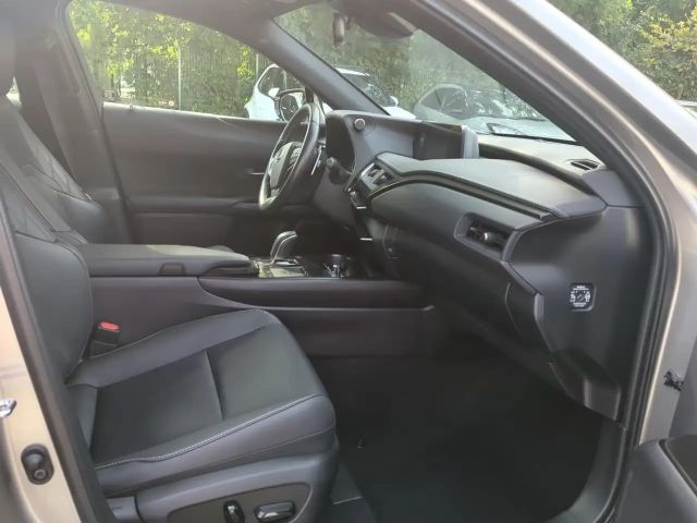 Lexus UX Basis Klima Kamera Sitzhzg Tempomat