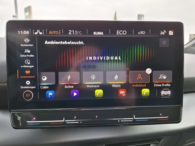 Cupra Born 58 kWh 77 kWh