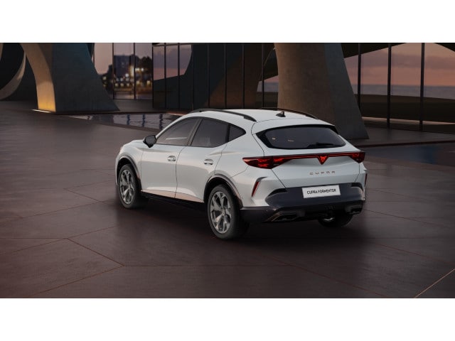 Cupra Formentor 2.0 TSI 4Drive DSG