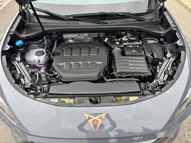 Cupra Terramar 2,0 TSI DSG 4Drive SENNHEISER+AHK+EL.HECKKLAPPE