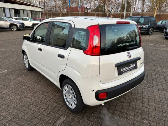 Fiat Panda Panda 1.0 GSE Mild-Hybrid | Klima | Tagfahrlicht