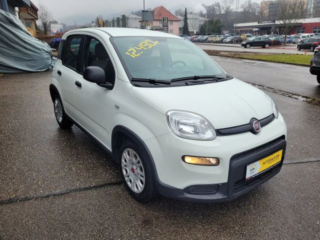 Fiat Panda Base Hybrid 1,0 (sehr gepflegt, 12Monate Garantie)