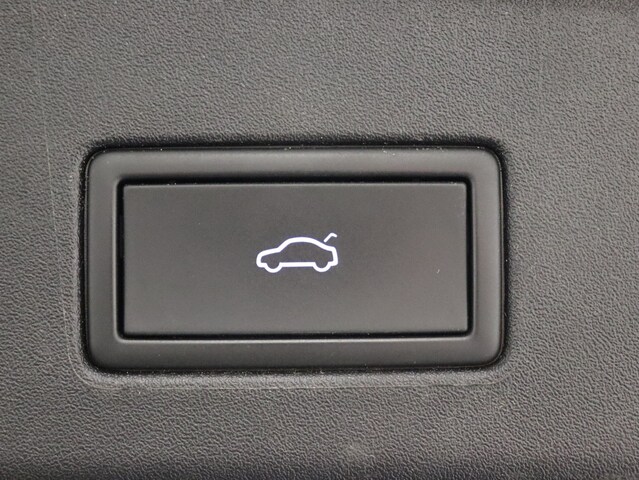 Volkswagen ID.4 |AHK|Matrix|ACC|Massage|HUD