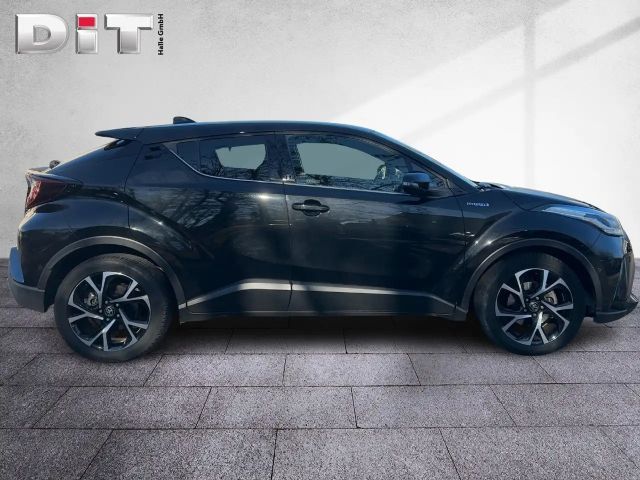 Toyota C-HR Team D