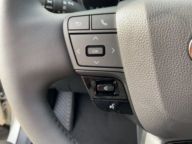 Toyota C-HR Plug-in Technik