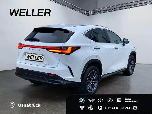 Lexus NX Executive Line