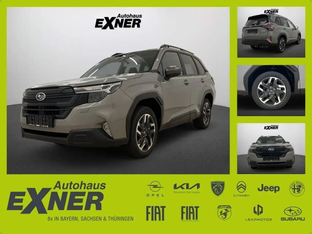Subaru Forester 2.0ie - viel,viel Zubehör !!! AHK - Winterräder