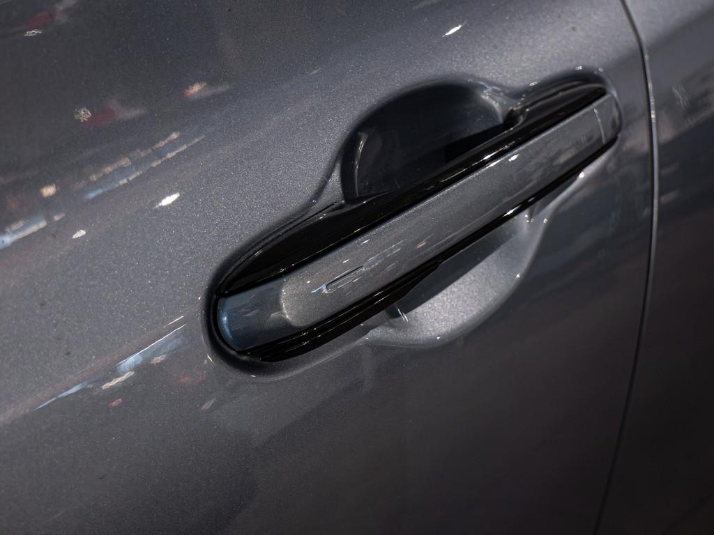 Lexus RZ Luxury Line