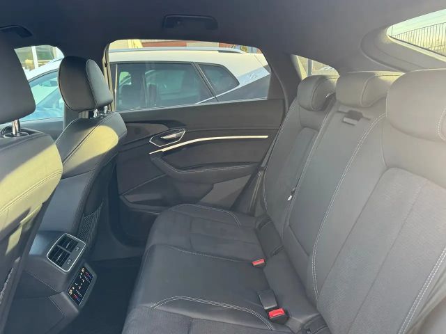 Audi e-tron 55 Business