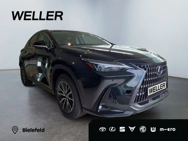 Lexus NX Executive Line