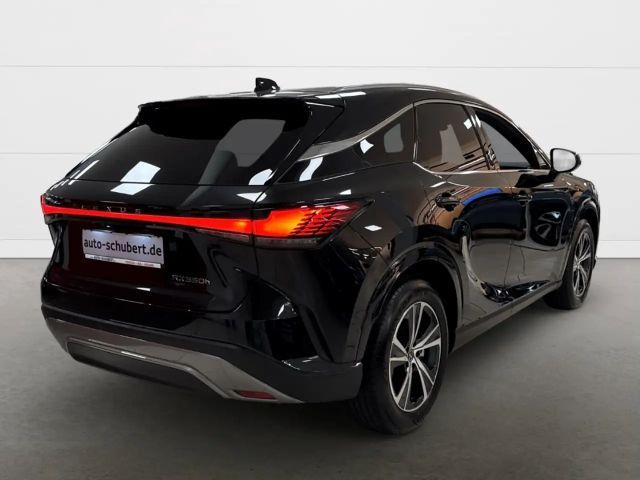 Lexus RX-Serie Business Line