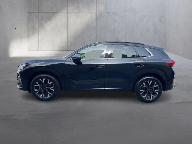 Cupra Terramar 1.5 e-TSI 150 PS DSG