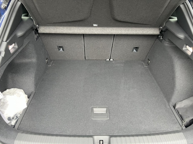 Cupra Terramar 1.5 eTSI