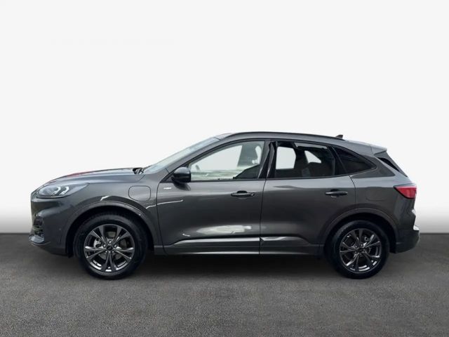 Ford Kuga Plug in Hybrid ST Line