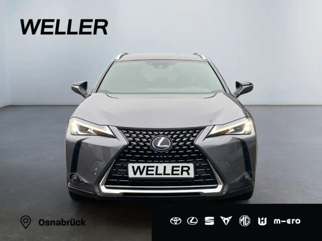 Lexus UX 250h Style Edition