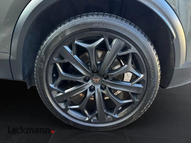 Cupra Formentor 2.0 Tribe Edition*Matrix*360*Beats*Navi