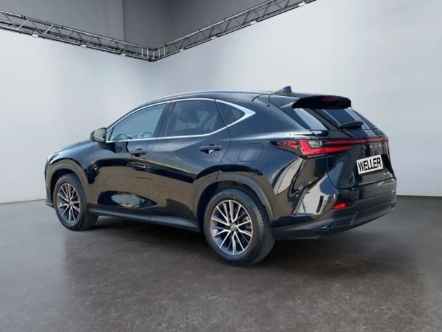 Lexus NX Executive Line