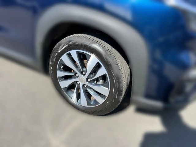 Suzuki S-Cross Flash