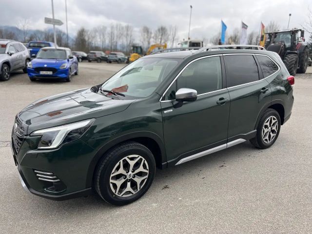 Subaru Forester Active