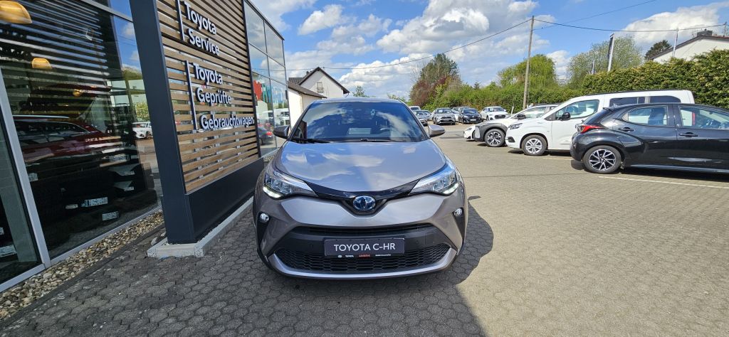 Toyota C-HR Team D