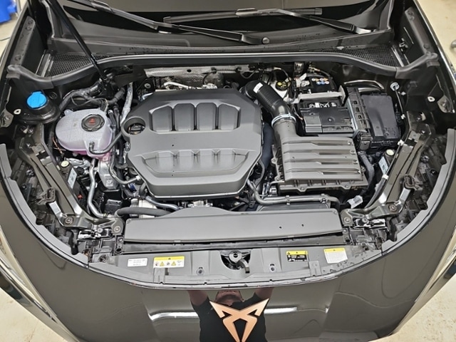 Cupra Terramar 2,0 TSI DSG MATRIX NAVI HUD AHK D-DRIVE