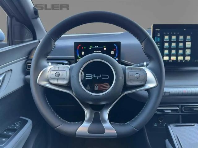 BYD Dolphin Comfort