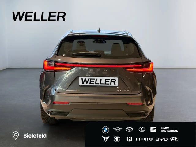 Lexus NX *Bi-LED*ACC*CAM*Navi*CarPlay*Soundsystem*