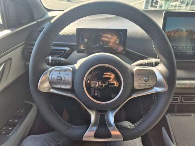 BYD Dolphin Surf Boost