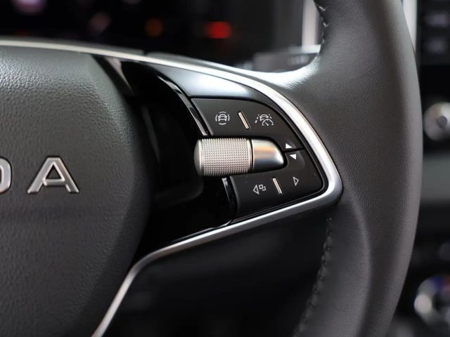 Skoda Karoq Selection