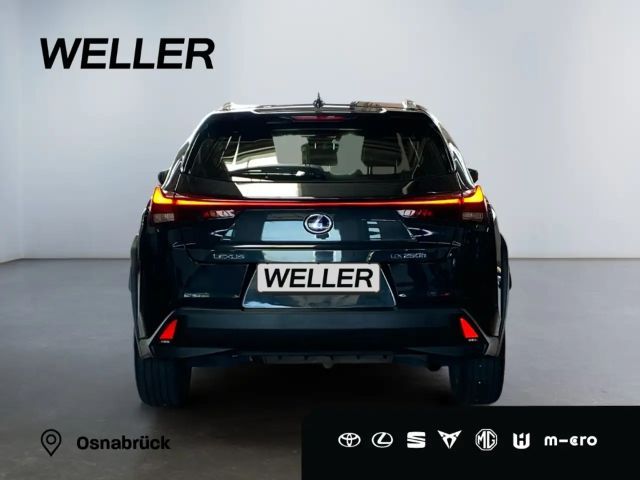 Lexus UX 250h