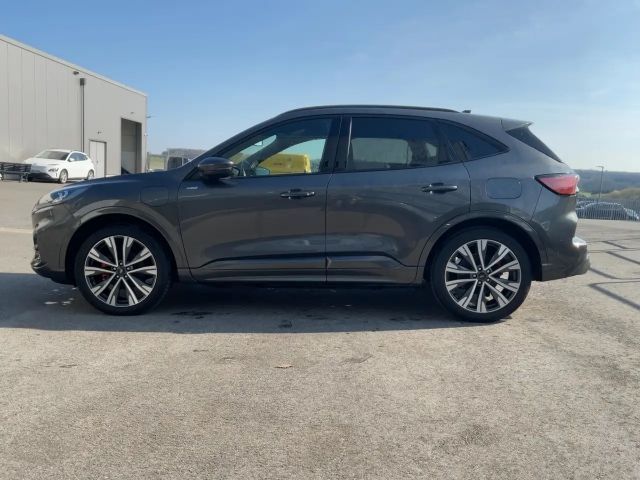 Ford Kuga Plug in Hybrid ST Line X