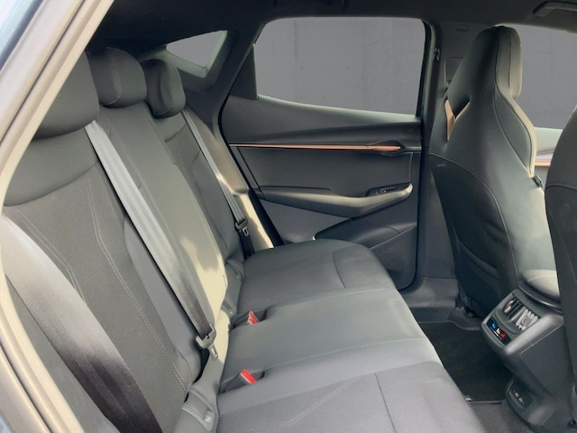 Cupra Tavascan Endurance