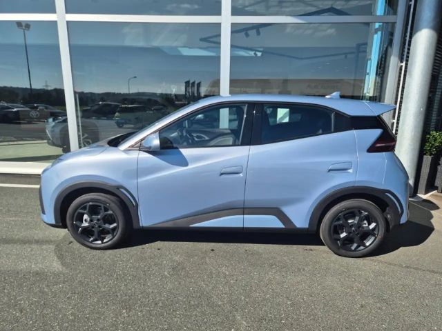 BYD Dolphin Surf Boost