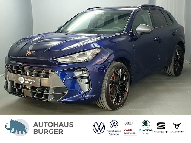 Cupra Terramar 2.0 TSI VZ