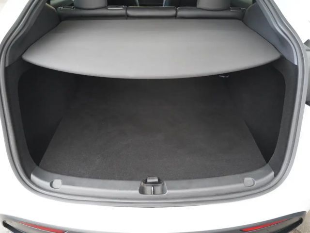 Tesla Model Y Performance