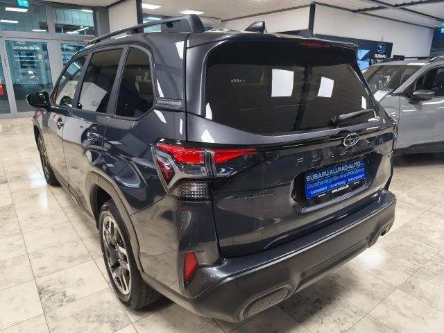 Subaru Forester Exclusive
